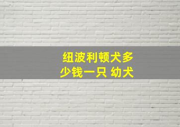 纽波利顿犬多少钱一只 幼犬